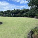 선흘정류장 이미지