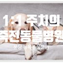 뉴욕동물병원 이미지