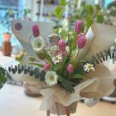 타티아르 이미지