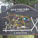 운림교 Daum카페