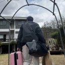 1박2일 강원도 여행 ㅣ 글램핑 추천 ㅣ 홍천 아레나 펜션 글램핑 🏕️