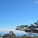 용소카 네이버블로그