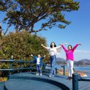 길 | 동백꽃 섬여행 추천｜거제 지심도·장사도·통영 만지도 동백숲길 후기