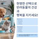 3L[중급] | 스마트 급식기 선택법