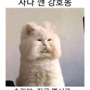 굿모닝 여행사 이미지