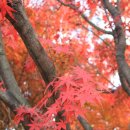 성산1공원 네이버블로그