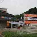 산에들에오리알