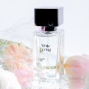 화이트오 이미지