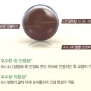 원토탈