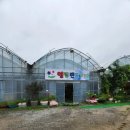 키즈 엘림 이미지