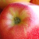 강내과의원 이미지