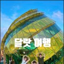 맞춤형코스 이미지