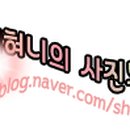 가운 문화공원 이미지