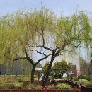 구십도(九十˚) | 四時詞書屛 八首 (사시사서병 팔수) - 申翼相 (신익상)