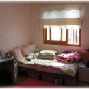 사림동100 이미지