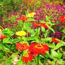 달욱농장 이미지