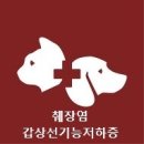 형제동물의료센터 이미지