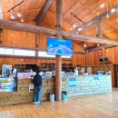 돌담목장 | 제주 서쪽 여행 코스 도치돌 알파카 목장 농장 애월 놀거리