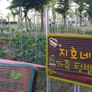 텃밭 수완점 이미지