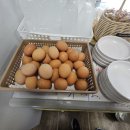시골해장국식당