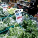 준농장 이미지