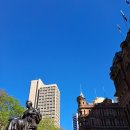 힐하우스호스텔 | 차 ㅣ 혼자 여행, QVB, 스냅사진, 달링하버, 오페라하우스, 엔젤플레이스, 페리, 노스 헤드, 베티스...