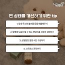 바나나똥