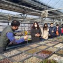 수원시농업기술센터 이미지