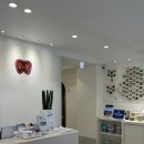 서울 동물병원 | 서울 마포 오복동물치과병원 강아지 스케일링 및 발치 내돈내산 후기