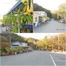 도림민박식당 이미지