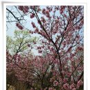 (성수)충혼탑 이미지