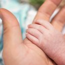 아이스킨 이미지