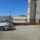 힘찬흑염소 이미지