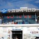 감포맛집 감포회포장맛집 부부수산 모듬회 포장 후기 해산물도 포함임
