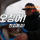 두족류 낚시 통찜 이미지