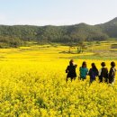 꽃내음가득 이미지