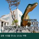 안면도쥬라기박물관 이미지