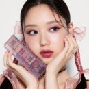 팔레트립