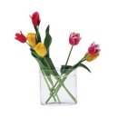 자연-꽃 이미지