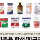 정다운이웃농장
