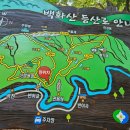 제584회 2026년 5월 14일 영동 상주 백화산 이미지