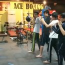 에이스복싱 이미지