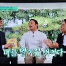 르노자동차서비스코너세종연기점 | 슬기로운 르노생활 Ep.37 <주7일 근무>