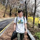 심신 중앙일보