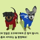 쥬씨다산
