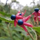 SK윤공인중개사사무소 이미지