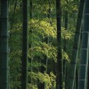 녹번-011 이미지