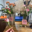 카페모니카 이미지