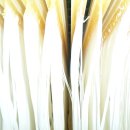 안성약품(주) 이미지