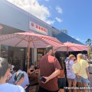 개왕마마 | 호주 골드코스트 브런치 맛집! 줄 서는 데는 이유 있는 'O Bagel' 오베이글 본점 인기 메뉴 추천